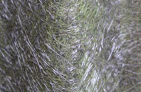 Fishpool fibreglass roof work